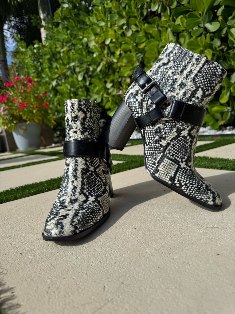 BCBGeneration Black and White Snake-Print Ankle Booties with Buckle Strap